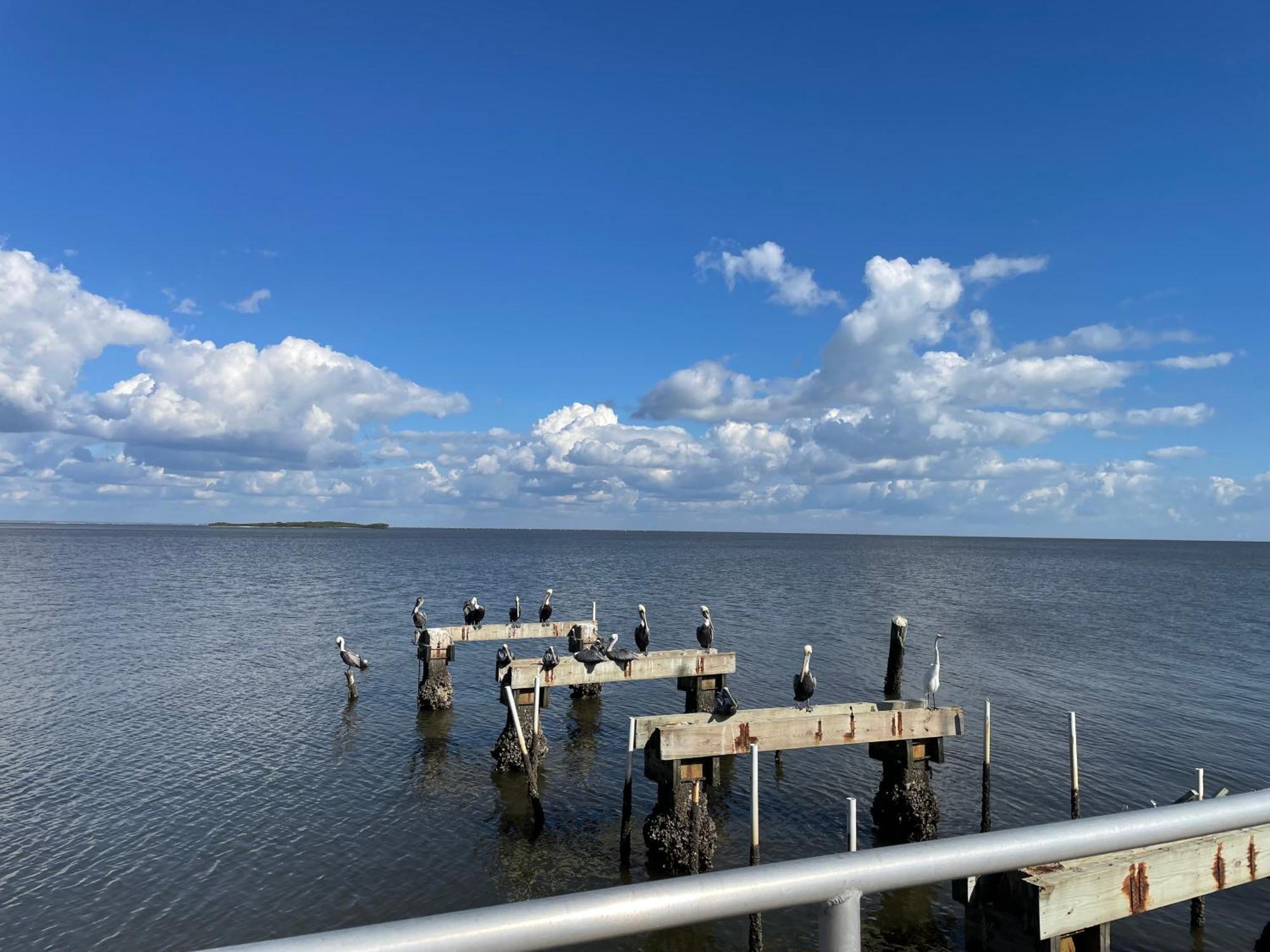 Cedar Key Florida Condo At Park Place Kültér fotó