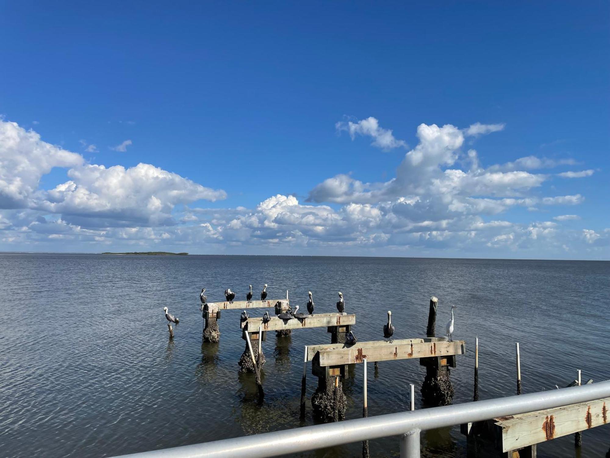 Cedar Key Florida Condo At Park Place Kültér fotó
